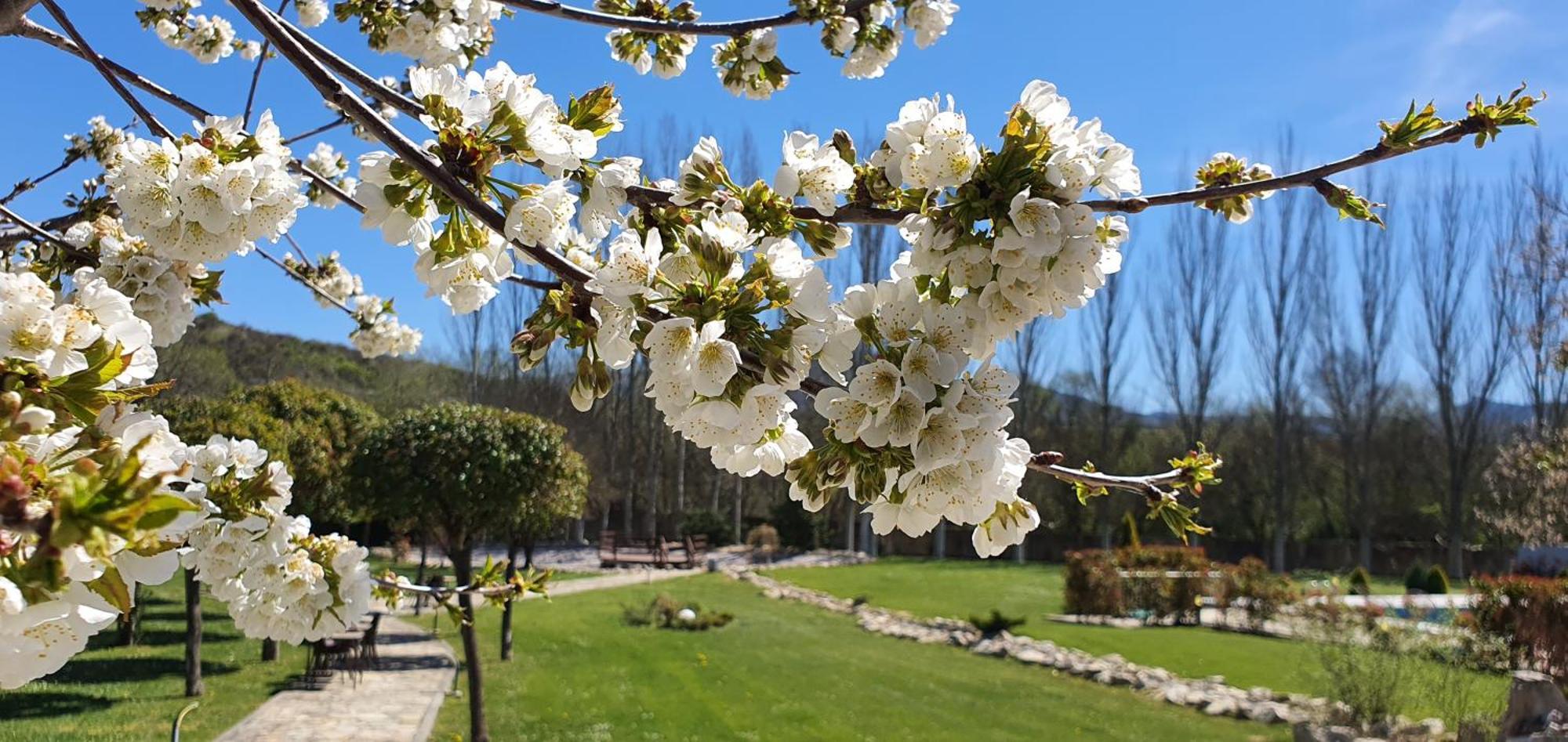 Hotel Rural Finca Vivaldi Nature & Spa San Miguel de Las Duenas ภายนอก รูปภาพ